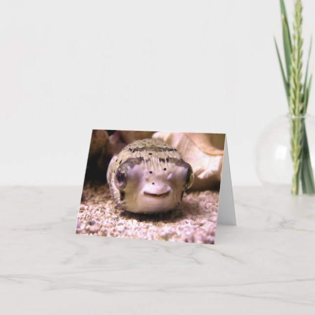 Helaine's Blowfish Pufferfish Card (Front)