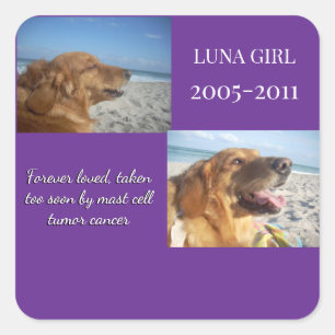 Held Close, Never Forgotten Square Sticker