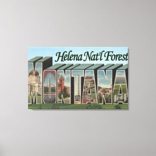 Helena Nat'l Forest, Montana Canvas Print