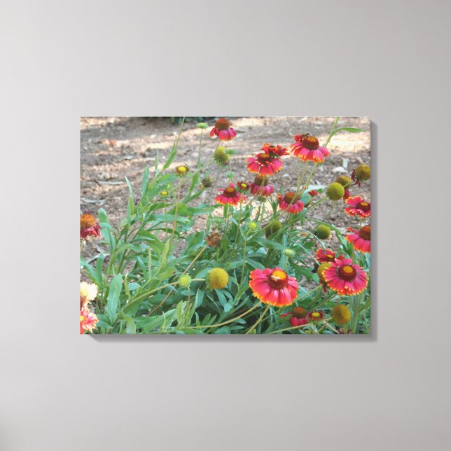 Helenium flowers canvas print (Front)