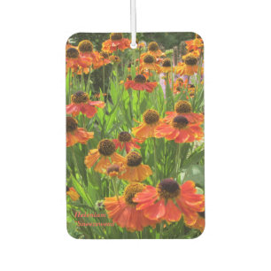 Helenium "Sneezeweed" Car Air Freshener