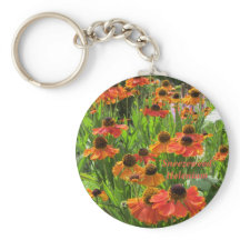 Helenium "Sneezeweed"