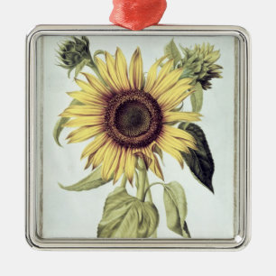 Helianthus Annuus from 'Velins du Roi Vol.36' Metal Tree Decoration