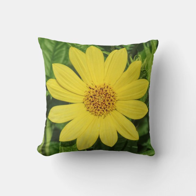 Helianthus 'Lemon Queen' Sunflower Cushion (Front)