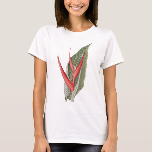 Heliconia 1800s Vintage Botanical T-Shirt (Front)