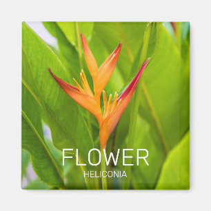 Heliconia Flowers Botanical Plant Garden Design Magnet