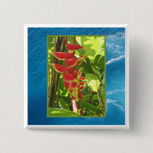 Heliconia rostrata 15 cm square badge