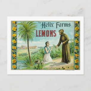 Helix Farms Lemon LabelSan Diego, CA Postcard