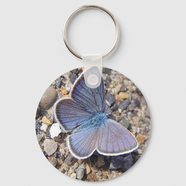 Hellblauer Schmetterling Key Ring (Front)