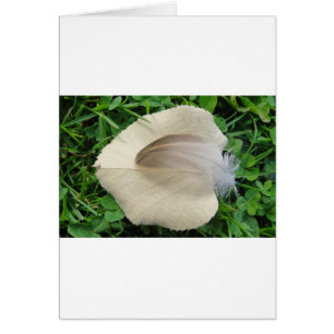 Hellbraune Feder auf hellbeigem Blatt