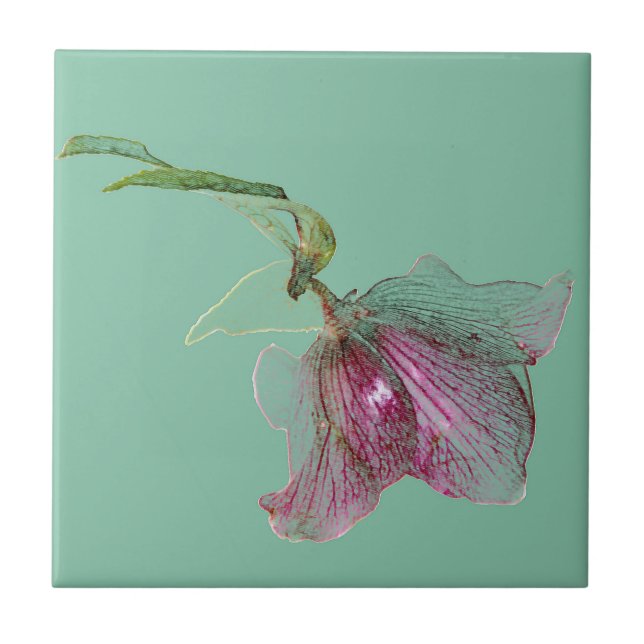 Hellebore flower on mint green turquoise tile (Front)