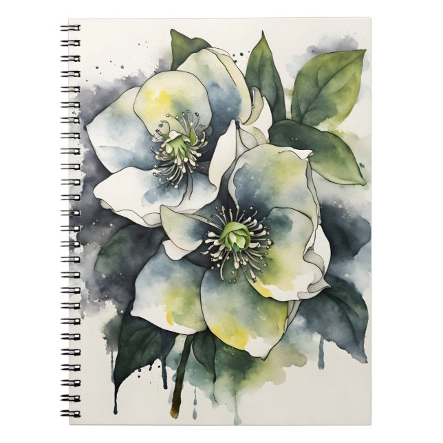 Hellebore - Watercolor flowers Notebook (Front)