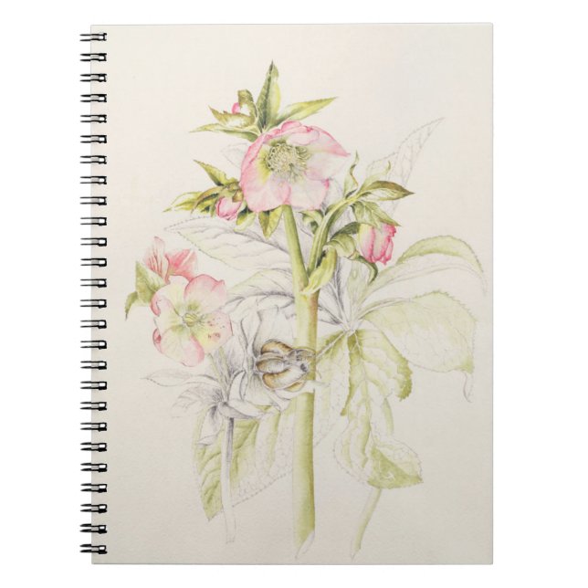 Hellebores Spiral Notebook (Front)