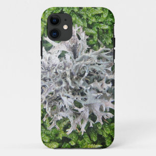 Hellgraue Flechte auf hübschem Moos Case-Mate iPhone Case