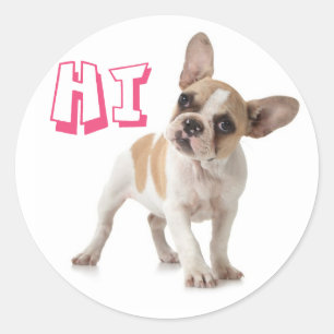Helllo Hi French Bulldog Puppy Dog Sticker / Seal