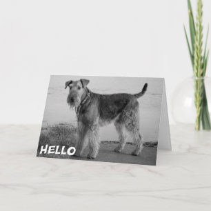Hello Airedale Puppy Dog Card - Verse