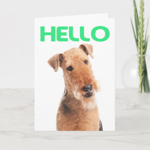 Hello Airedale Puppy Dog Greeting Card