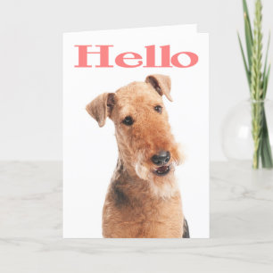 Hello Airedale Puppy Dog Greeting Card - Verse