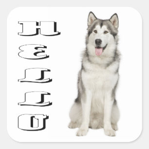 Hello Alaskan Malamute Puppy Dog Sticker / Seal