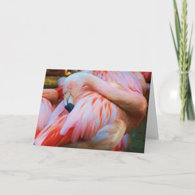 Hello/Any Occasion Card_ Card (Front)