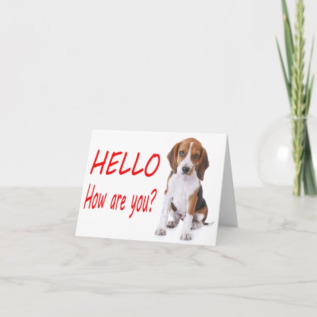 Hello Beagle Puppy Dog Red Blank Note Card (Front)