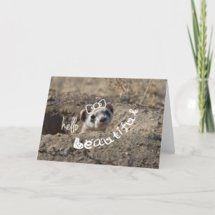 Hello Beautiful Card