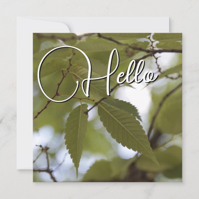 Hello birth welcome greeting green card (Front)