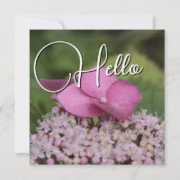 Hello birth welcome greeting rose