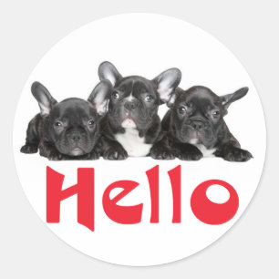 Hello Black French Bulldog Puppy Dog Sticker Seal