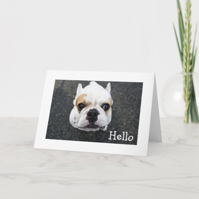 Hello  Bulldog Greeting Card - Verse (Front)
