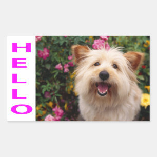 Hello Cairn Terrier Puppy Dog Greeting Stickers