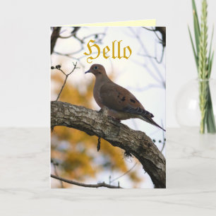 Hello Card