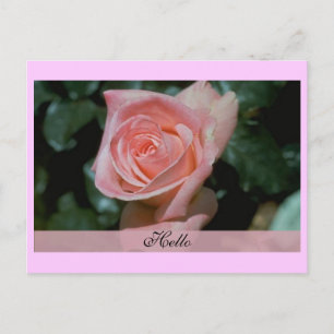 Hello Card