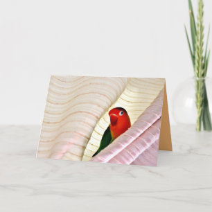 Hello! Card