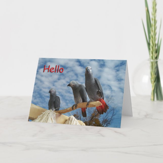 Hello Card (Front)