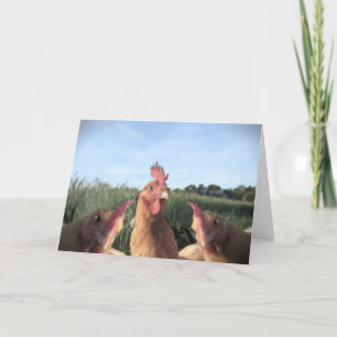 HELLO CHIC-KEN HOLIDAY CARD