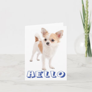 Hello Chihuahua Puppy Dog Blank Notecard