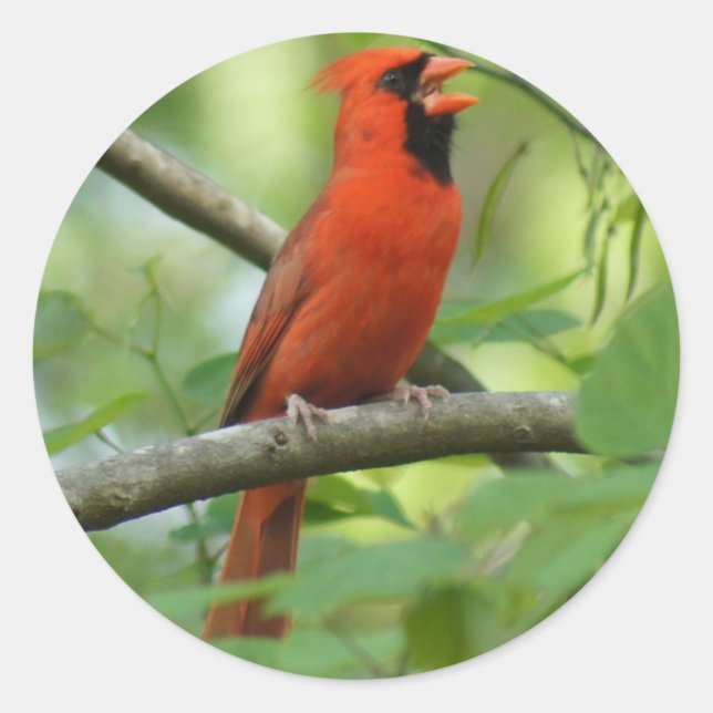 Hello! Classic Round Sticker (Front)