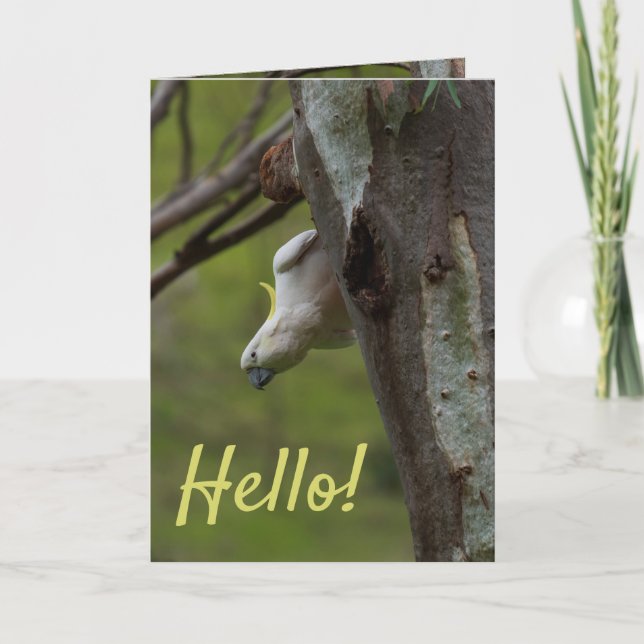 Hello! Cockatoos in a Tree Australia Card (Front)