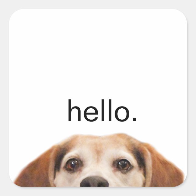 Hello Cute Funny Beagle Dog Modern Trendy Square Sticker (Front)