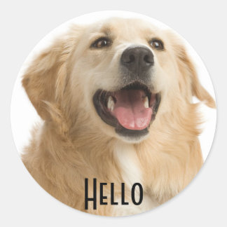 Hello Cute Golden Retriever Puppy Dog Stickers