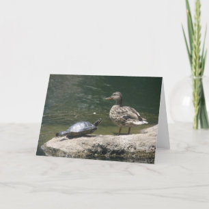 Hello duck card