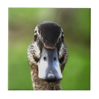 Hello Ducky Quirky Duck Portrait Tile