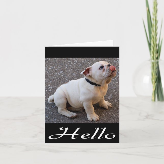 Hello English Bulldog Puppy Dog Blank Note Card (Front)