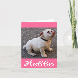 Hello English Bulldog Puppy Dog Blank Note Card