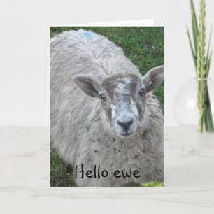 Hello Ewe Card