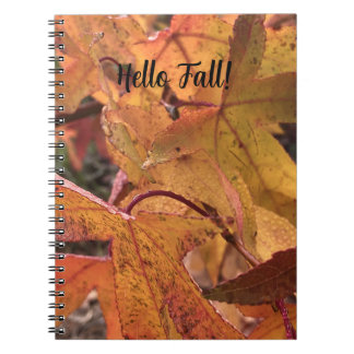 "Hello Fall!" Notebook