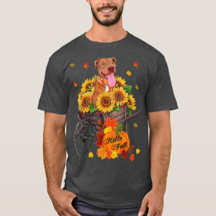 Hello Fall Pitbull Dog In Sunflowers Leaves Autumn T-Shirt