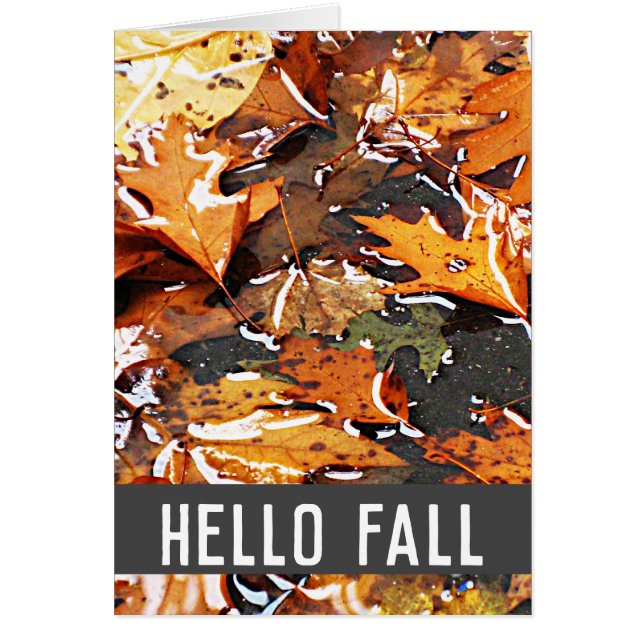 Hello Fall Rainy Leaves Greeting Card (Front)