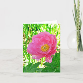 "HELLO" FLORAL/PINK PEONY/NOTECARD /BLANK INSIDE CARD